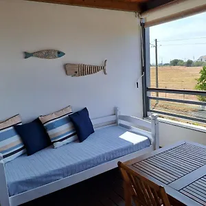 sea-view-apartment-near-meia-praia-beach-in-lagos.hotelaalgarve.com/
